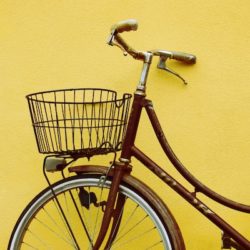 Как настроить рекламу в Яндекс Директ для интернет-магазина велосипедов и привлечь больше клиентов